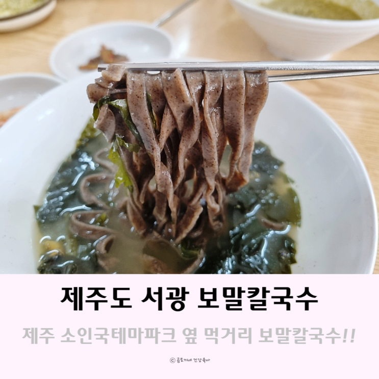 제주도 소인국테마파크 옆 먹거리 제주보말칼국수 후기 제주도 소인국테마파크 옆 먹거리 제주보말칼국수 후기