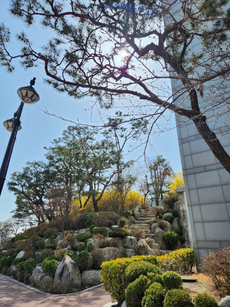 봄이 오는 풍경 봄이 오는 풍경