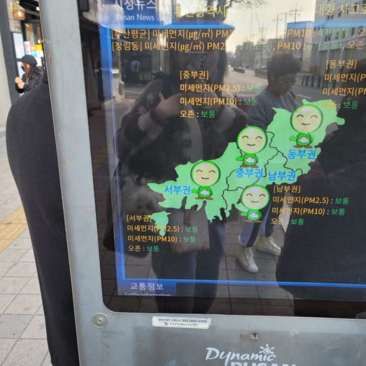  강아지랑 버스 지하철 기차ktx 택시 대중교통 이용