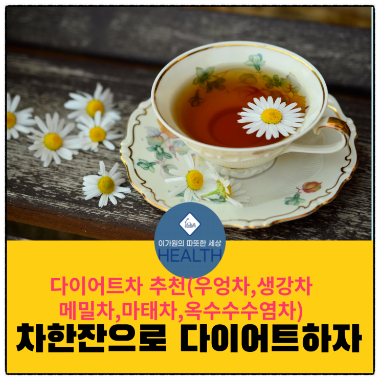  다이어트차 추천(우엉차,생강차,마태차,메밀차,옥수수수염차 다이어트