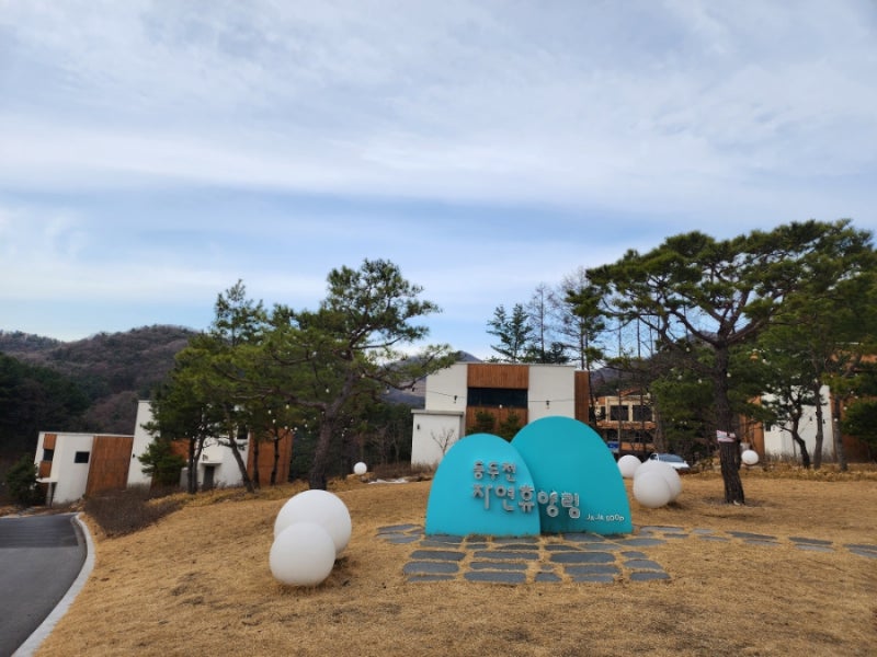 동두천 가볼만한곳 아이들과 놀자 숲 : 네이버 블로그 동두천 가볼만한곳 아이들과 놀자 숲 : 네이버 블로그