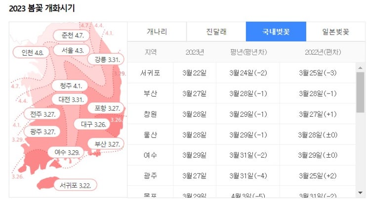  23년 국내 벚꽃 개화시기 정보