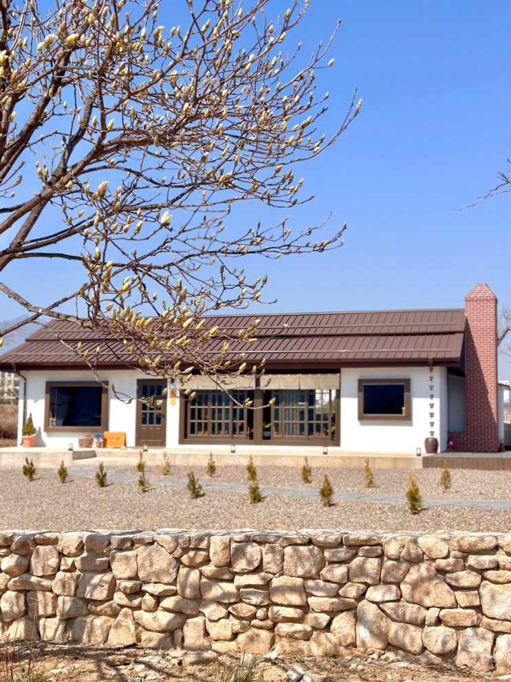  속초 카페 아이와 함께 가볼만한곳 제주도 감성 도평커피