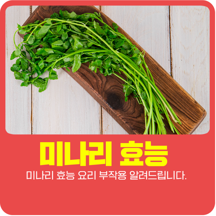  미나리 효능 요리 부작용 알려드립니다.
