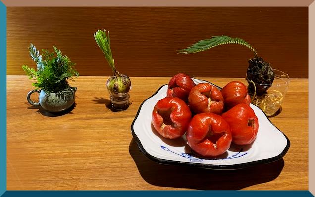  태양 보다 더 붉고 시원한 왁스애플 리엔우