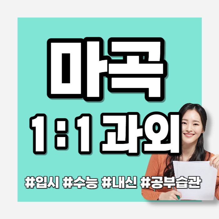  마곡 영어과외 회화수업 방화동 중등 국어과외 수능대비 수업하고있어요