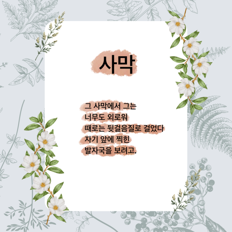 사막 시 힘들지만 소소한 행복을 느끼고 싶을 때 추천하고 싶은 시 (ft. 시로 납치하다, 오르탕스 블루) 사막 시 힘들지만 소소한 행복을 느끼고 싶을 때 추천하고 싶은 시 (ft. 시로 납치하다, 오르탕스 블루)
