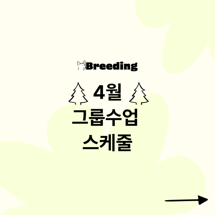 4월 그룹 수업 스케줄 - 반려견 그룹 훈련 4월 그룹 수업 스케줄 - 반려견 그룹 훈련