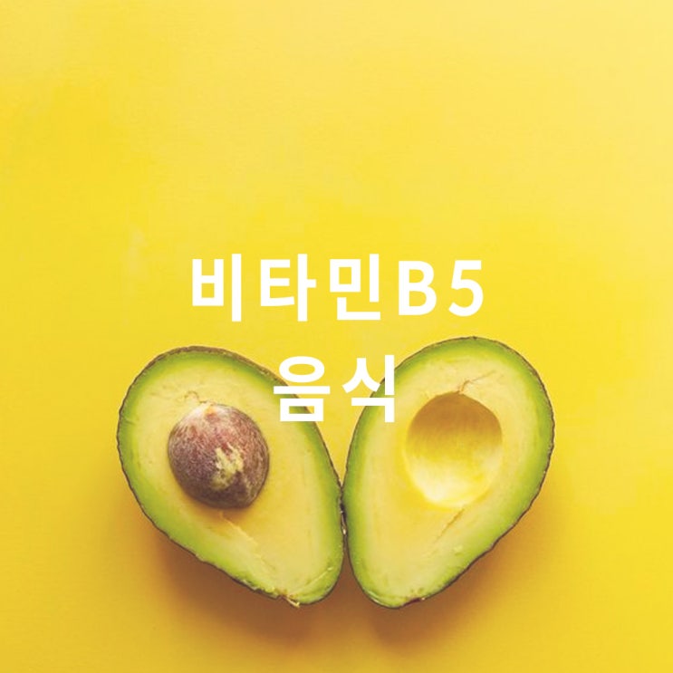  비타민B5 (판토텐산 pantothenic acid) 효능; 결핍 증상; 음식 종류 (유제품 육류 채소 달걀 등)