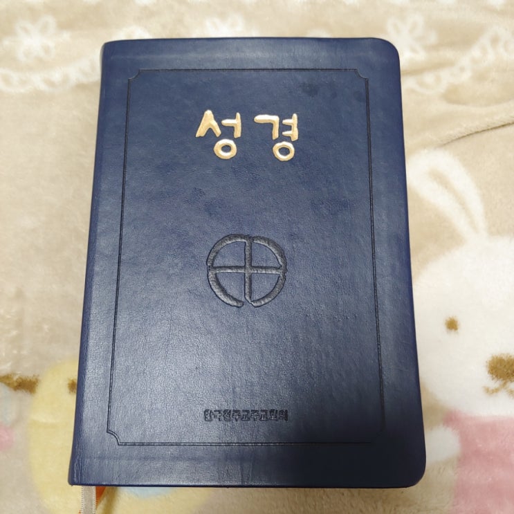 성경책 한국 천주교 주교회의 40주간 통독 챌린지를 시작했어요