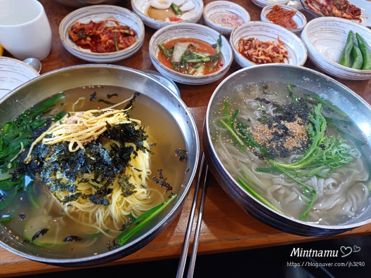  경산 사동 전통손칼국시 본점 가성비 먹기 좋은 국수집