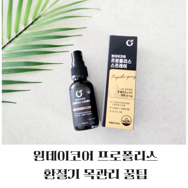  원데이코어 프로폴리스 스프레이로 환절기 목관리 방법