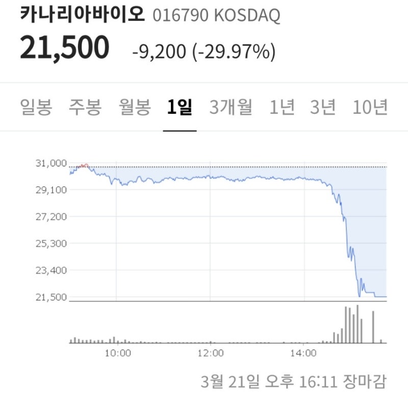 카나리아바이오엠 감사의견 한정소문 카나리아바이오 하한가 악재! 팩트체크!k-OTC 상폐 가능성 알아보기
