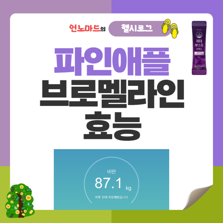  21일차, 파인애플 브로멜라인의 효능