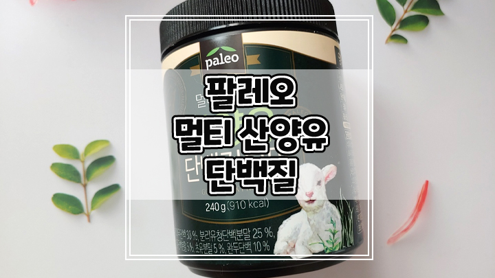  팔레오 멀티 산양유 단백질 간편한 식사대용으로 좋아요