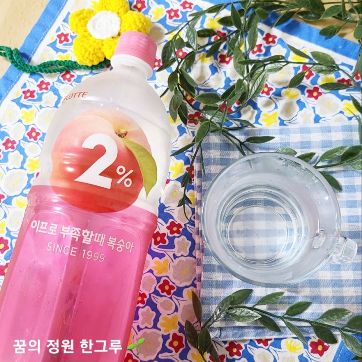 2% 이프로 부족할때 복숭아 영양성분 칼로리 이온음료가 아니었다
