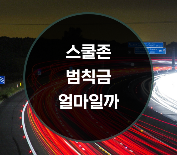 스쿨존 범칙금, 어린이 보호구역 주정차, 속도 신호위반