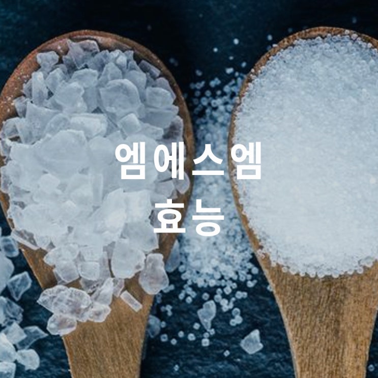  엠에스엠 MSM (methyl sulfonylmenthane) 효능 2가지