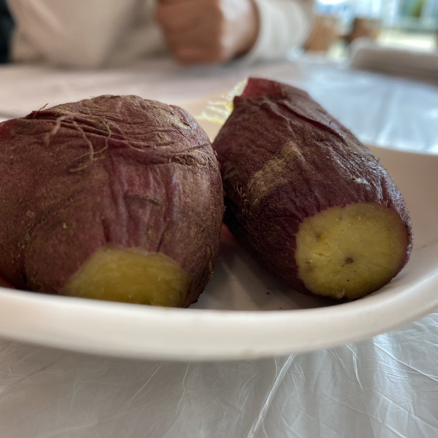 민물집 사진 4