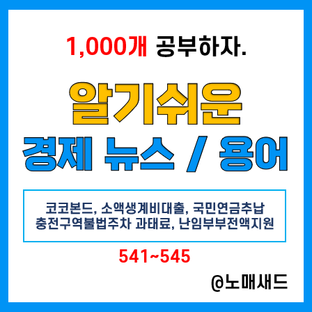 경제 뉴스 용어 :: 코코본드, 소액생계비대출, 국민연금 추납, 충전구역불법주차, 난임부부 전액지원