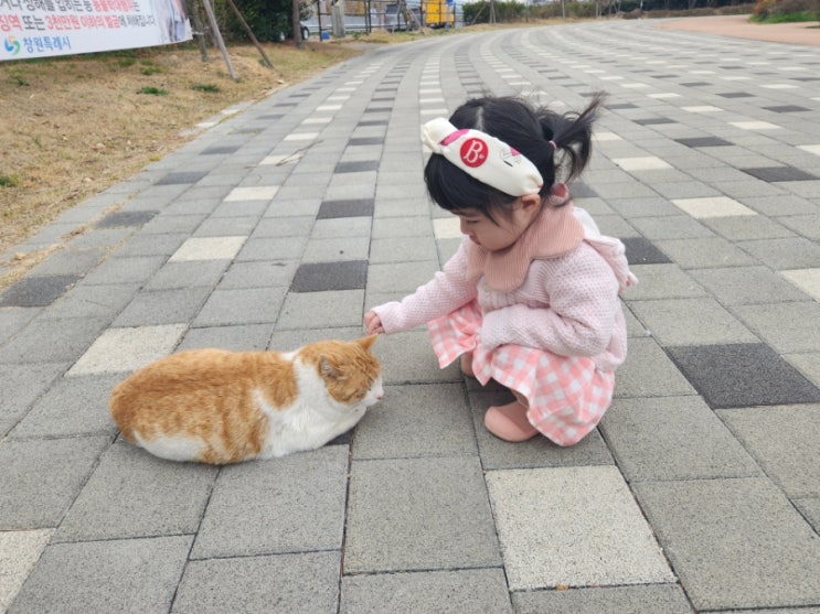  창원 아기랑 갈만한곳 고양이 마산 가포해안변공원
