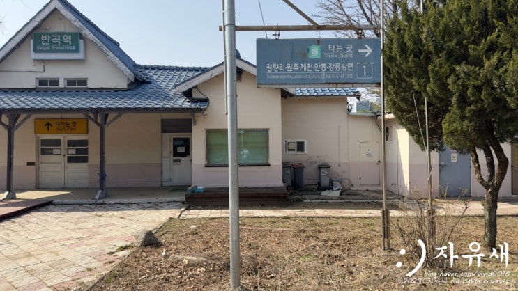  원주 벚꽃 명소 반곡역 당일치기 여행 사진찍기 좋은 이쁜 곳