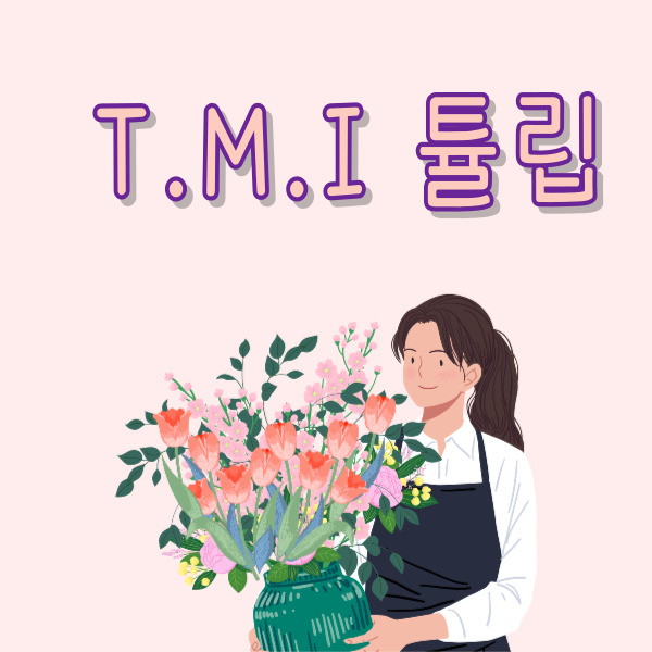  튤립재배 튤립품종 등 튤립TMI