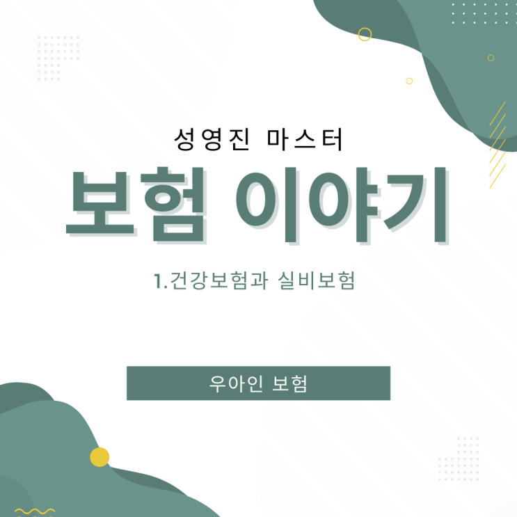  성영진마스터 보험이야기 1. 국민건강보험과 실비보험