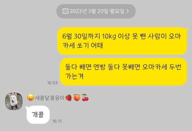  2023 양쓰 다이어트 10kg 감량해보자 오마카세 내기 했잖아 prolog.