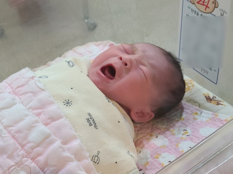  2023년 마루큐 에코기어 스탭과 육아 두마리 토끼 도전