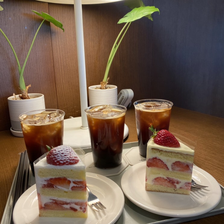  바닐라케이크가 맛있던 이수역 디저트 파니모들