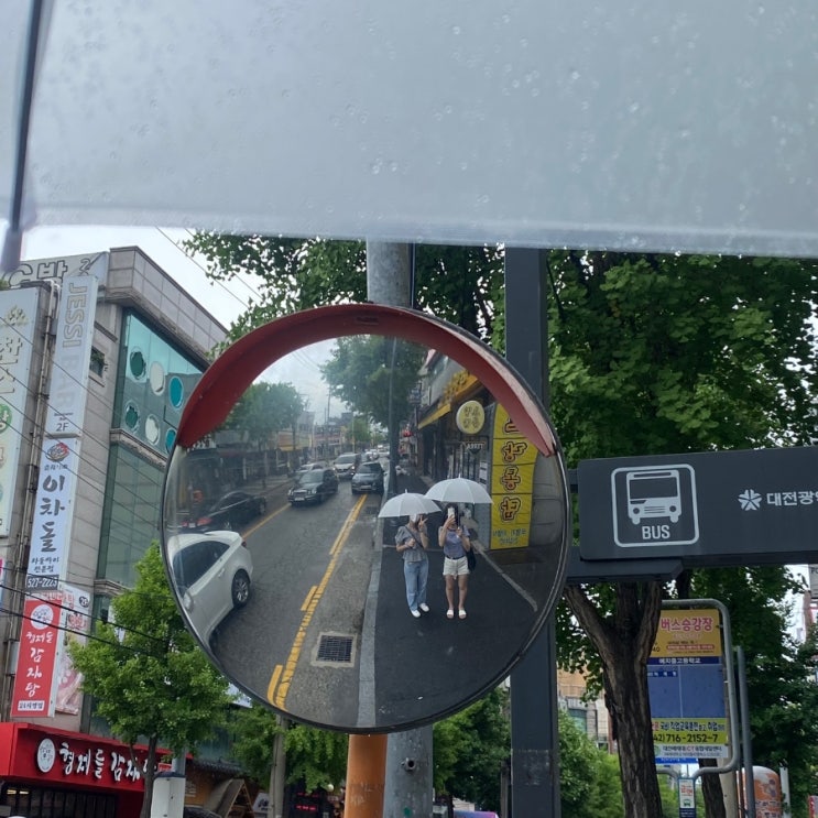  해피데일리