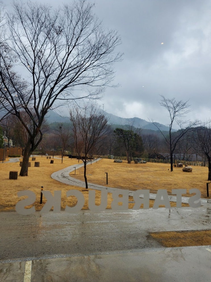  국어는 전과목에 영향