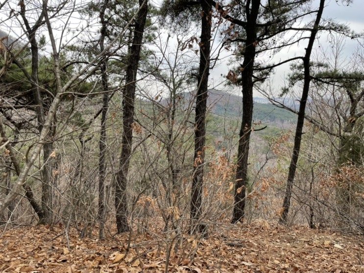 소래산 등산!