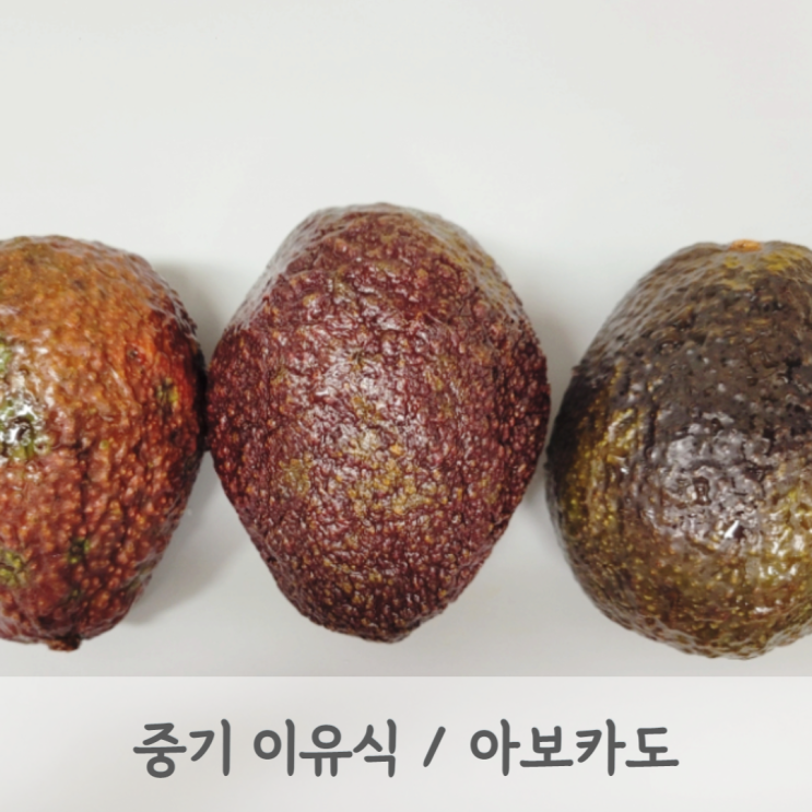 [중기이유식] 아보카도 퓨레 레시피 (아보카도 큐브, 아보카도 토핑, 베이비무브)