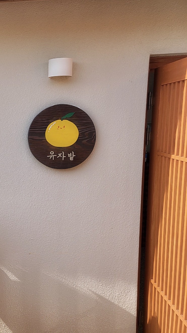  거제 - 애견 동반 카페 ʻ유자 밭ʼ
