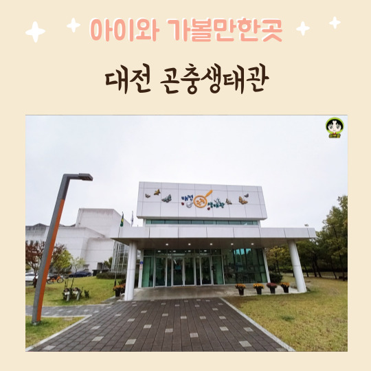  대전곤충생태관 교육체험현장으로 초등학생 추천 대전가볼만한곳