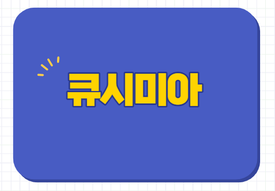  큐시미아 처방 가격 효과 후기 부작용 단계