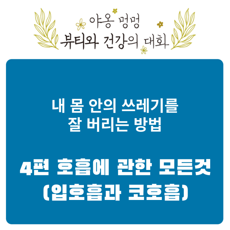  내 몸 안의 쓰레기를 잘 버리는 방법: 4편 호흡에 관한 모든 것 (입 호흡과 코 호흡)