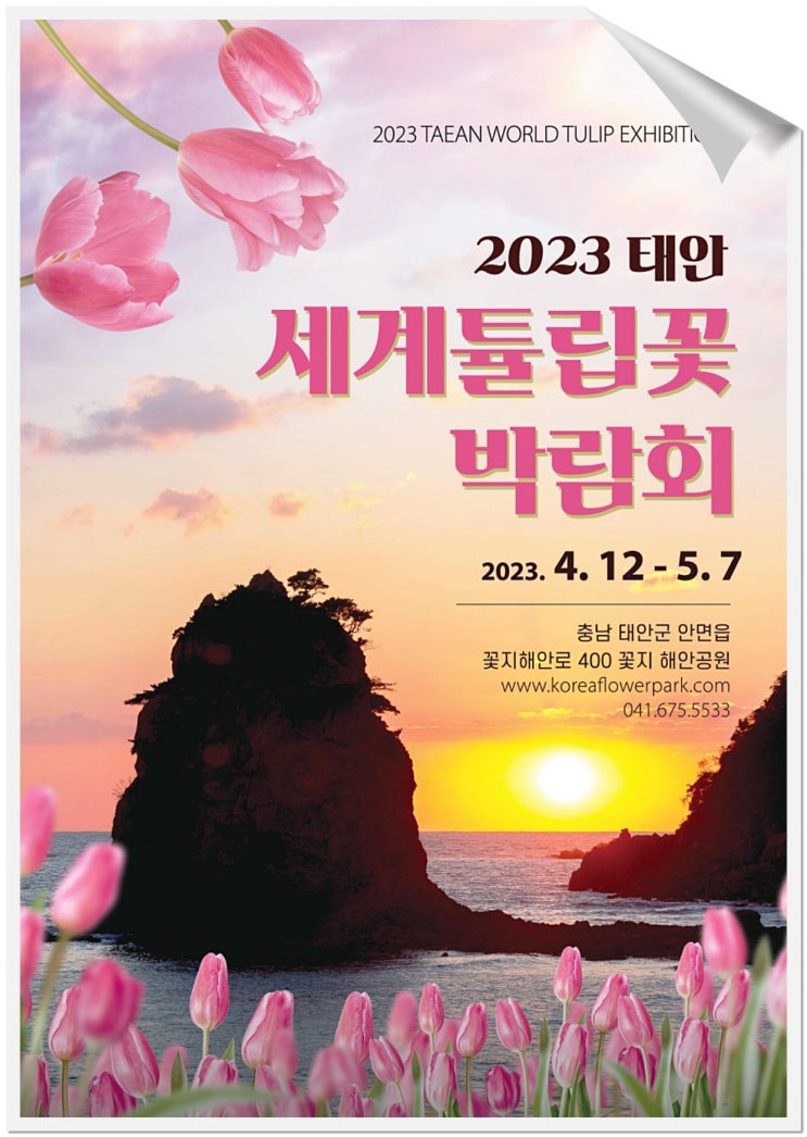  태안 튤립 축제 기간  4월 12일~5월 7일까지