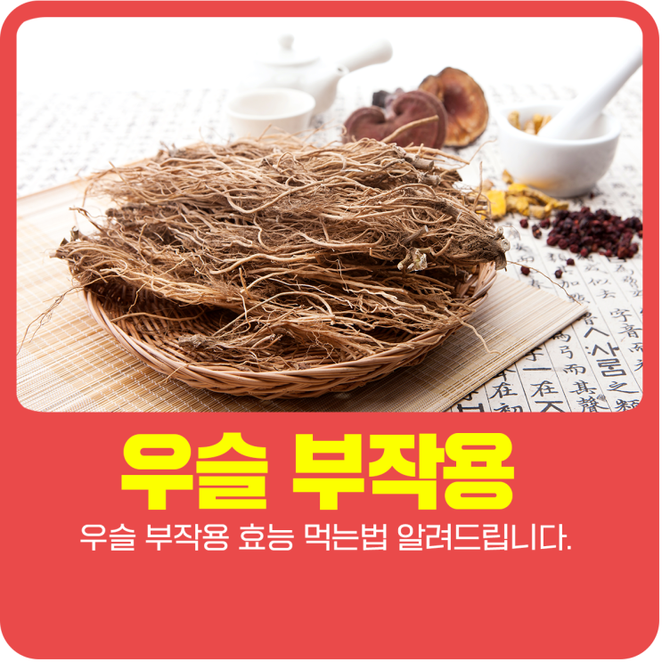 우슬 부작용 효능 먹는 법 알려드립니다.