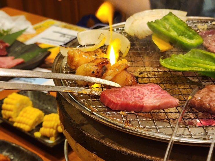  [일본 후쿠오카 둘째 날] 후쿠오카 세이류온천, 텐진 야키니쿠, 텐진 지하상가 러쉬매장