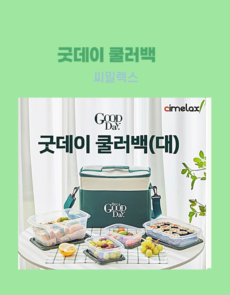  올바른 피크닉의 필수용품 보냉  쿨러백  씨밀렉스
