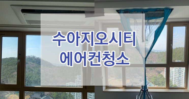  수아지오시티 꼭 확인해 볼 것!!