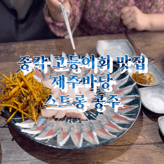  종각 고등어회 맛집 제주바당 종로 횟집 고등어회 삼치회 후기 완전 미쳤음