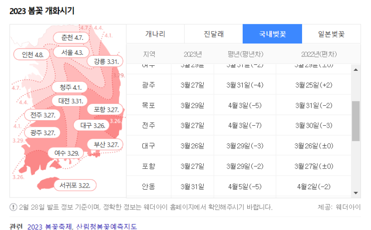  청송 벚꽃구경