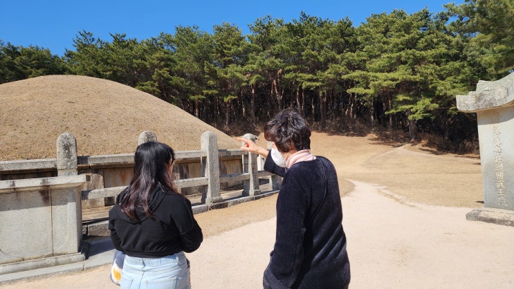  경주 김유신묘 김유신장군묘 숭무전 경주 여행 벚꽃 명소