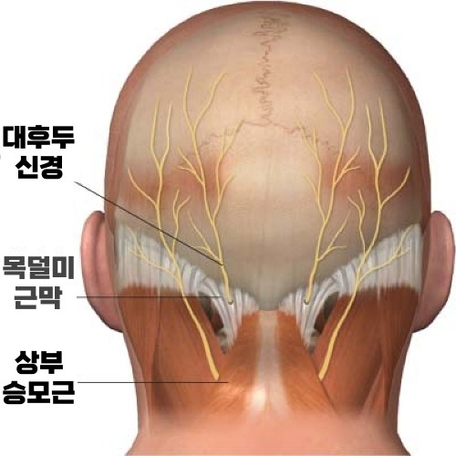 귀 뒤쪽 찌릿 쿡쿡 찌르는 왼쪽 귀뒤 통증 원인 치료 : 네이버 블로그