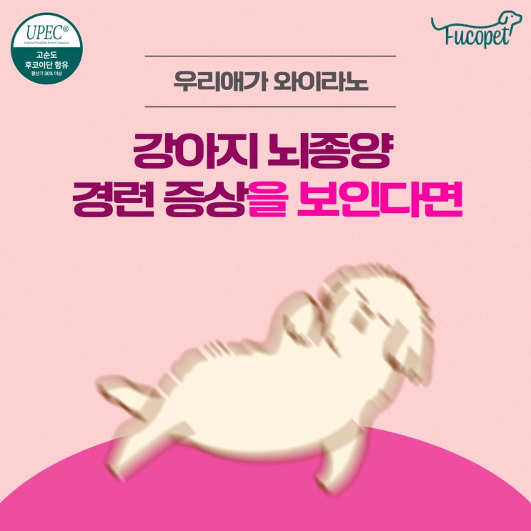  강아지 뇌종양 같은 자리를 빙글빙글 도는 모습을보인다면#후코이단 영양제