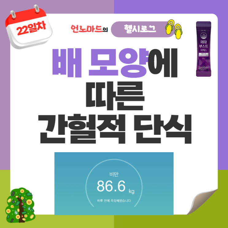  22일차, 배 모양에 따른 간헐적 단식 방법
